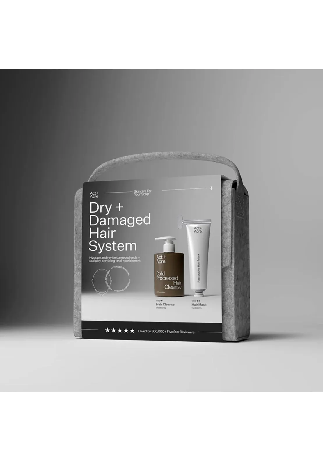 Dry   Damaged Hair System