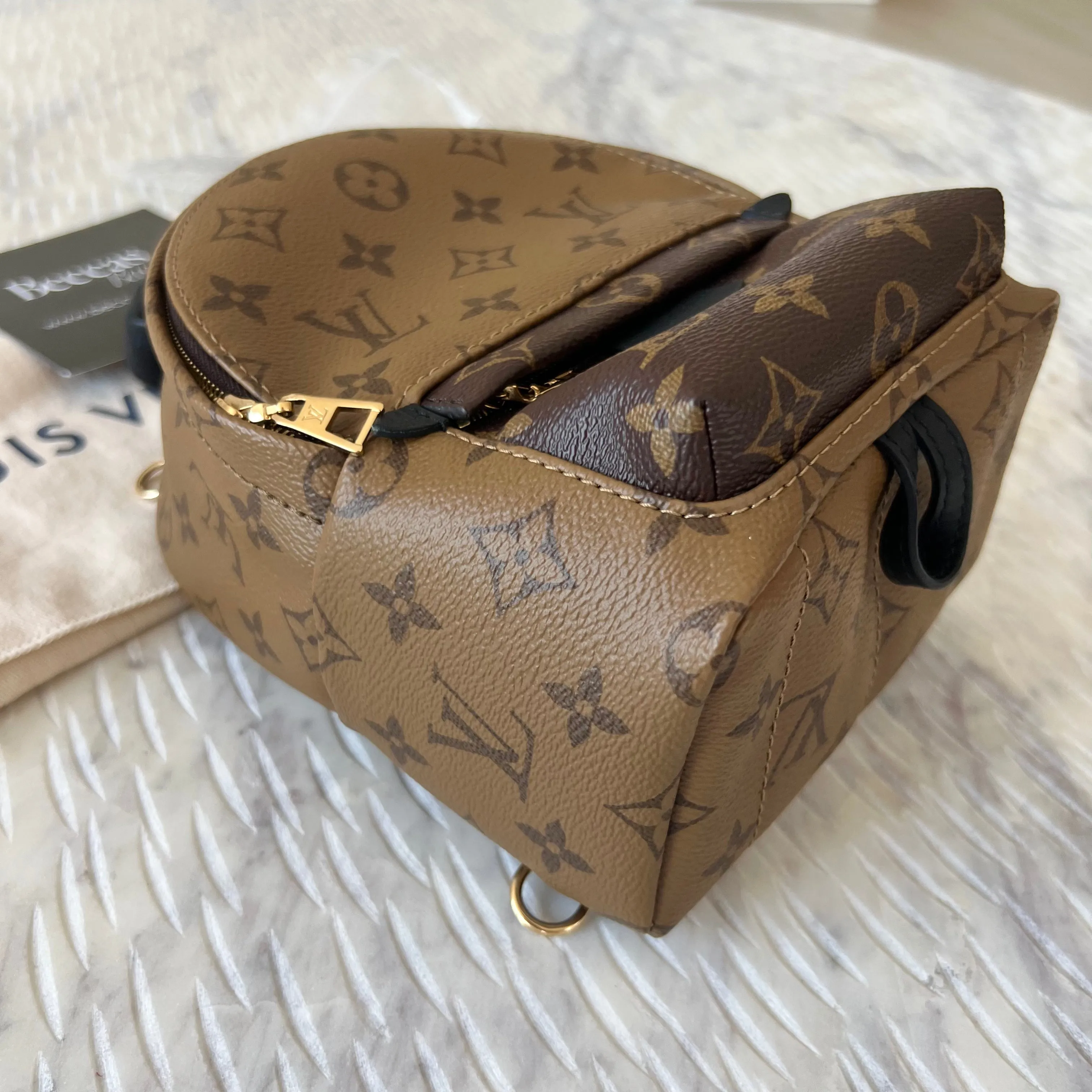 Louis Vuitton Reverse Monogram Palm Springs Mini Backpack