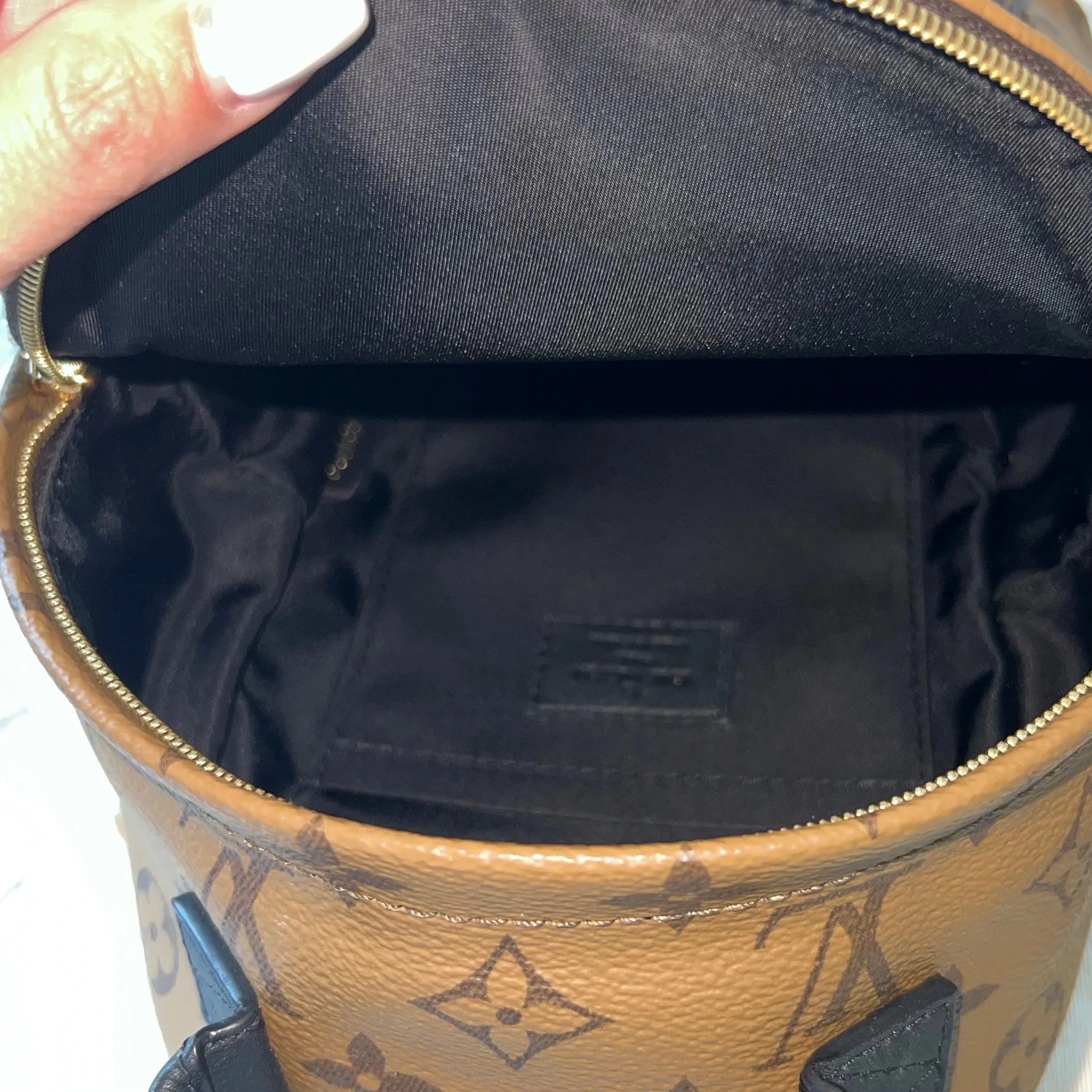 Louis Vuitton Reverse Monogram Palm Springs Mini Backpack