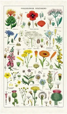  Wildflowers  Tea Towel